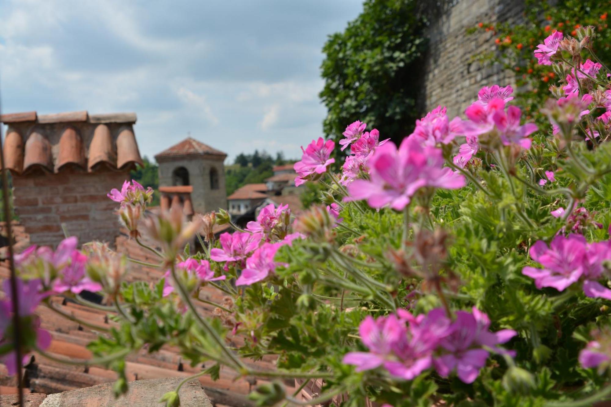 Dimora Storico Romantica Il Sole E La Luna Cerretto Langhe Extérieur photo